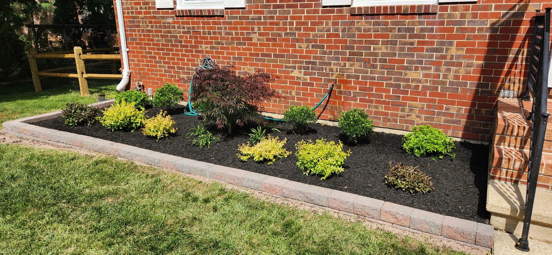 A rebuilt foundation bed with block edging and a Japanese maple