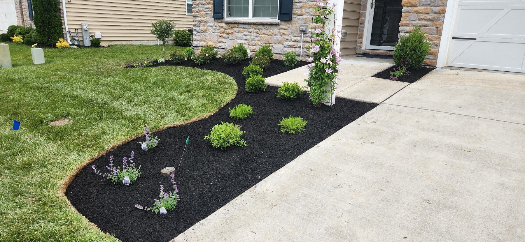 New curved planting beds in fresh black mulch at a stone-facade home