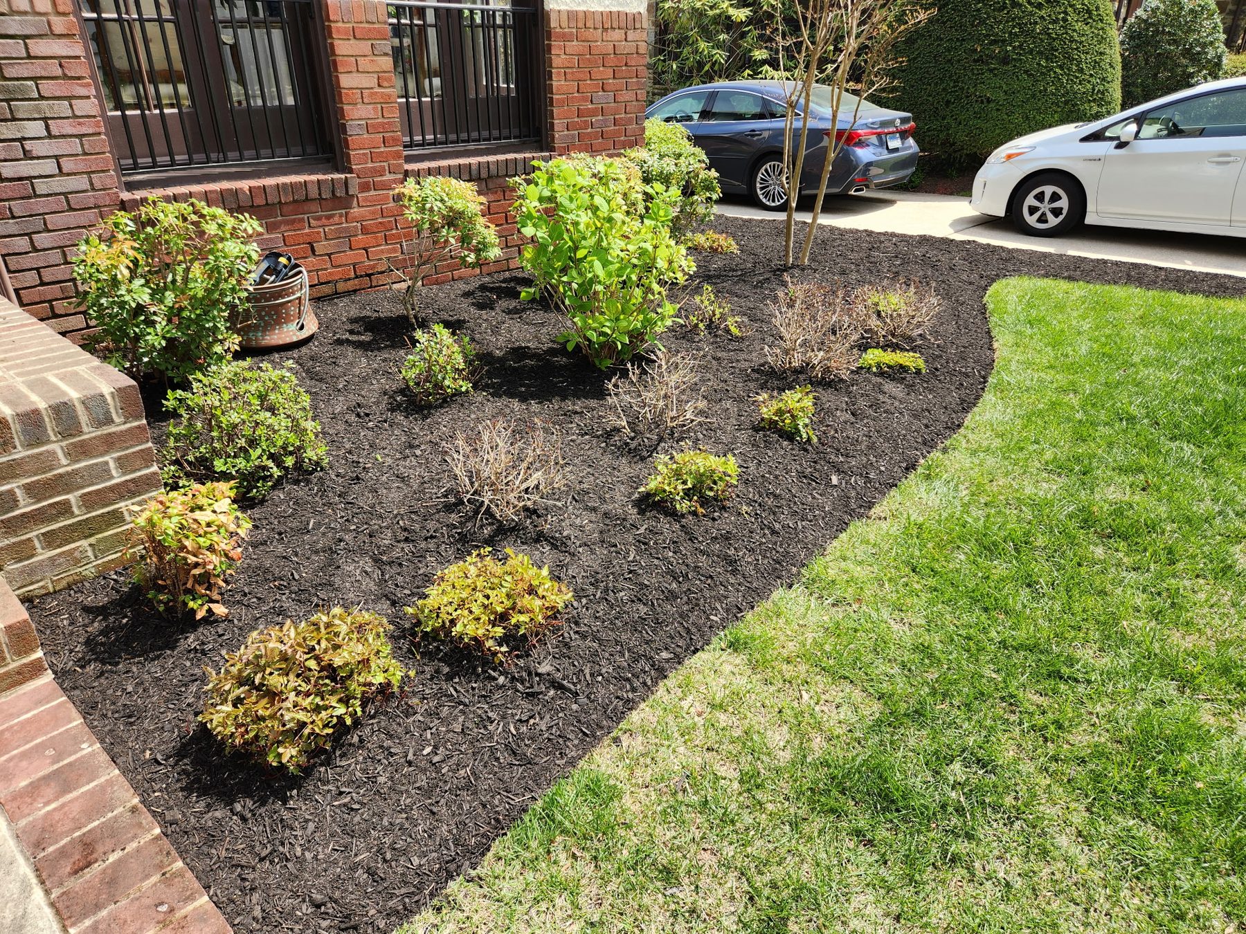 A finished foundation bed with azaleas and hydrangea along a brick facade