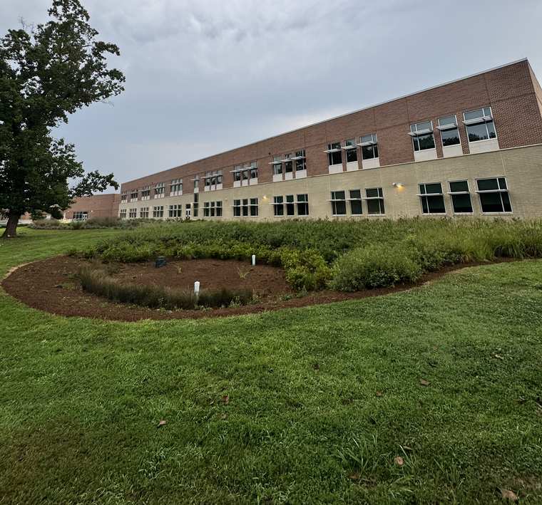 An oval bioretention basin with a fresh mulch ring and full shrubs in front of a large school building